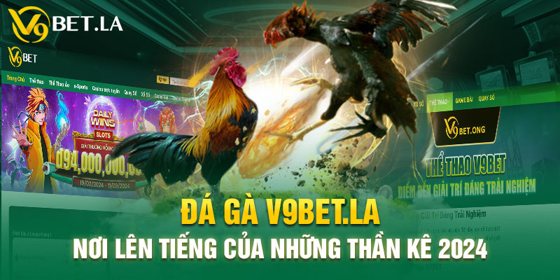 Đá gà V9bet.la 2024