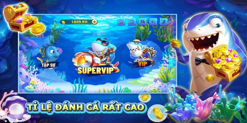 Bí kíp chơi để săn được nhiều cá nhất