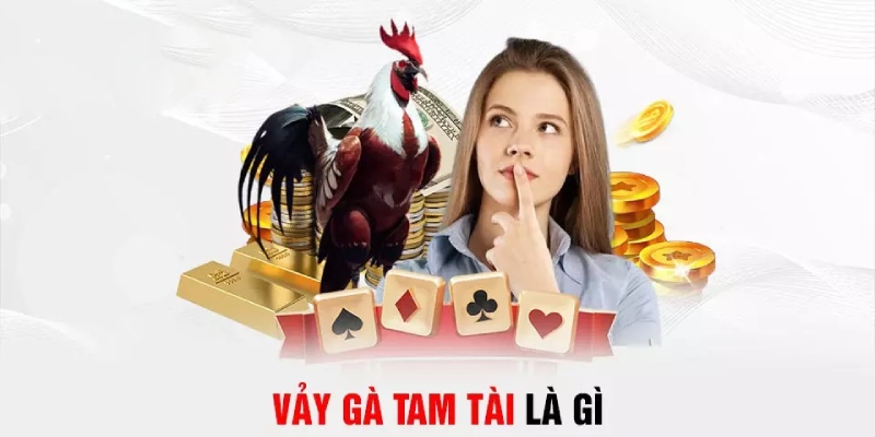 Giải thích chi tiết về đặc điểm vảy gà tam tài