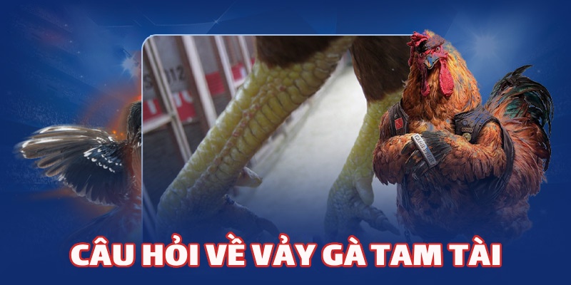Một vài câu hỏi liên quan đến vảy tam tài