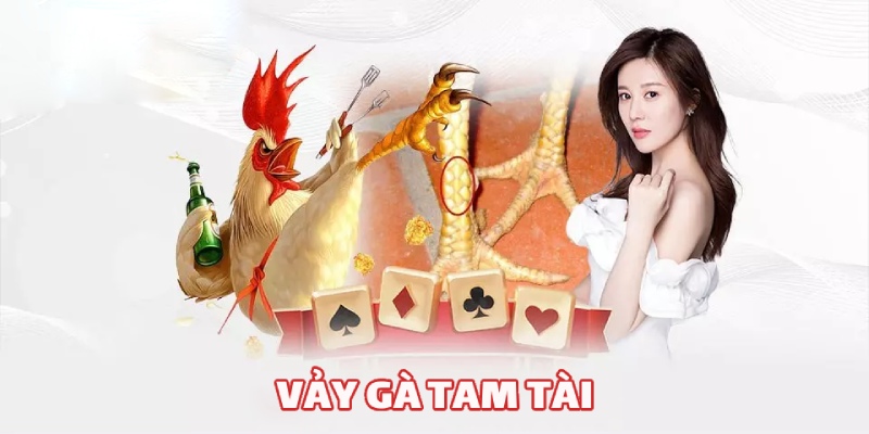 Vảy Gà Tam Tài: Đặc Điểm Của Thần Kê Dũng Mãnh